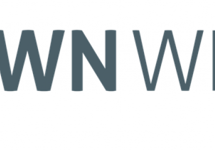 Town Web Logo